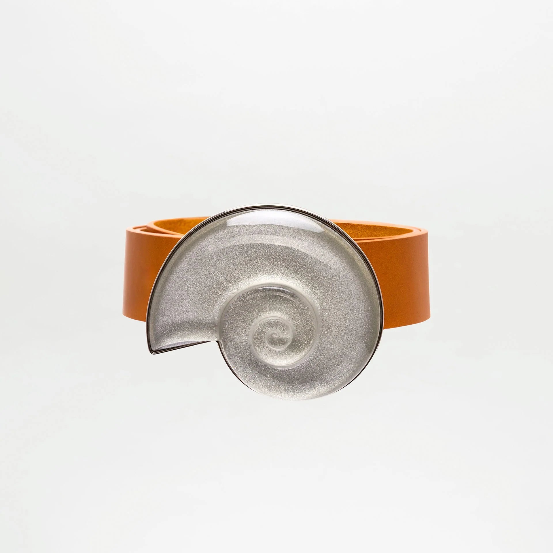 Nautilus Belt