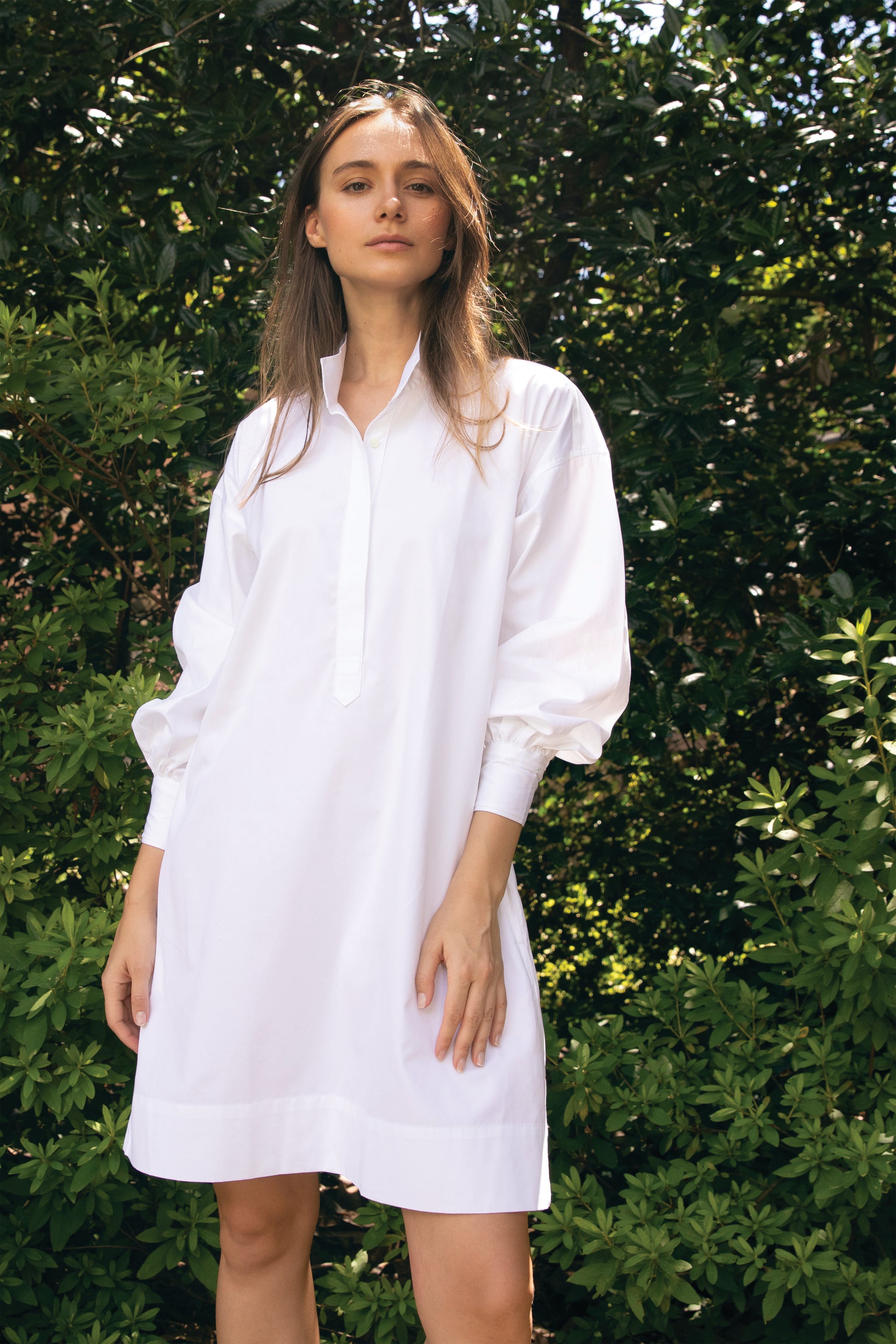 Anaya Popover Dress