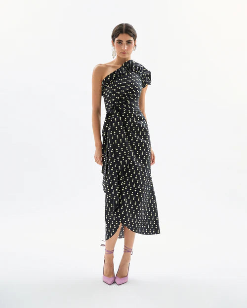 Charlotte Dot Dress
