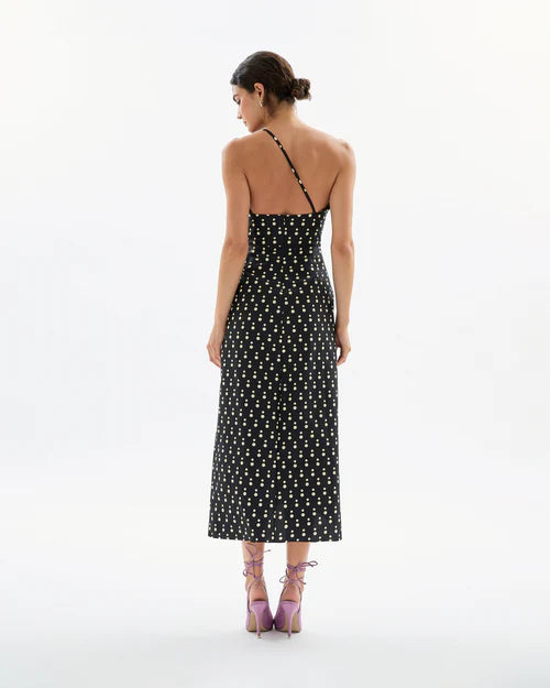 Charlotte Dot Dress