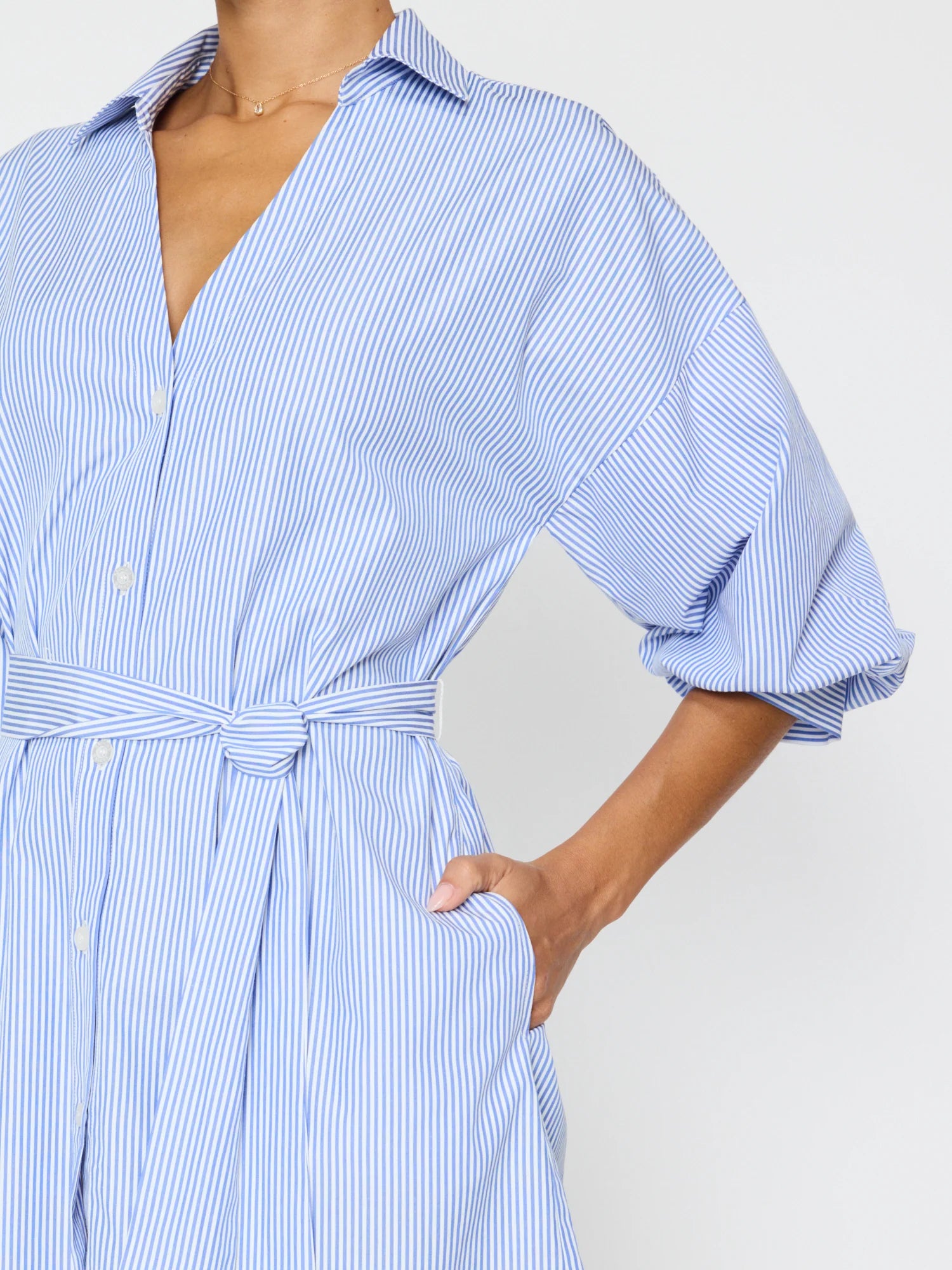 Kate Belted Dress